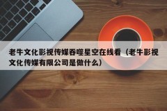 老牛文化影视传媒吞噬星空在线看（老牛影视文化传媒有限公司是做什么）